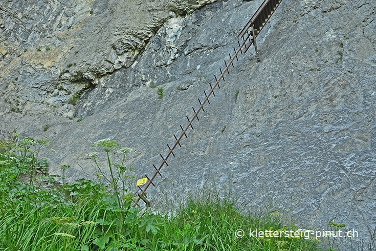 Einstiegsleiter in den Klettersteig Pinut beim Meilerstein Einstieg (Steigbaum) in den Klettersteig Pinut beim Meilerstein